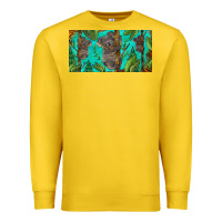 Lemon koala license plate Premium Sweatshirt - BarkalooDesign
