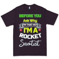 Plum Rocket Scientist Why I m Hot Gift Premium Tee - Bettercallsaul