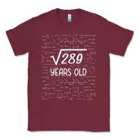 17 Year Old Gift Boys Girls Funny 17th Birthday Gifts Math Classic Tee | Teevron