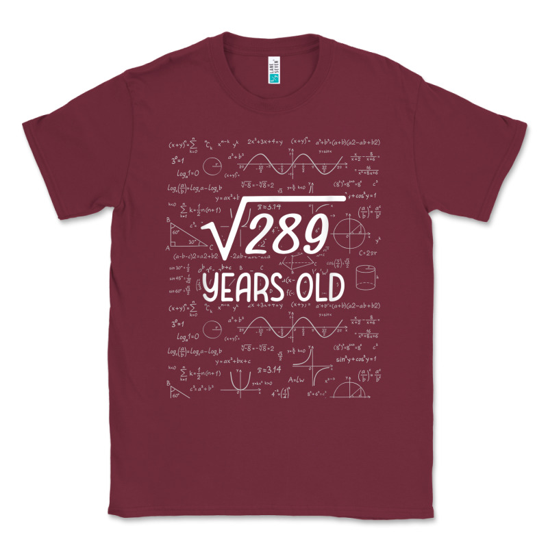 17 Year Old Gift Boys Girls Funny 17th Birthday Gifts Math Classic Tee by trangStudio | Teevron