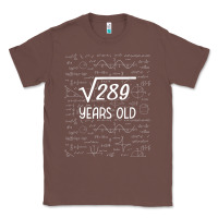 Chestnut 17 year old gift boys girls funny 17th birthday gifts math Classic Tee - trangStudio