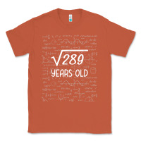 Copper 17 year old gift boys girls funny 17th birthday gifts math Classic Tee - trangStudio