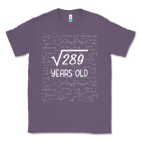 Lavender 17 year old gift boys girls funny 17th birthday gifts math Classic Tee - trangStudio