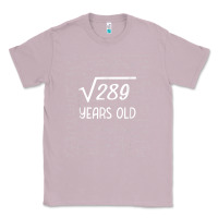 Lilac 17 year old gift boys girls funny 17th birthday gifts math Classic Tee - trangStudio