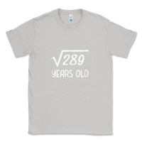 Moon Dust 17 year old gift boys girls funny 17th birthday gifts math Classic Tee - trangStudio