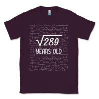 Plum 17 year old gift boys girls funny 17th birthday gifts math Classic Tee - trangStudio