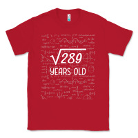 Red 17 year old gift boys girls funny 17th birthday gifts math Classic Tee - trangStudio