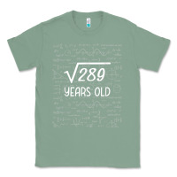 Sage 17 year old gift boys girls funny 17th birthday gifts math Classic Tee - trangStudio