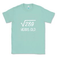 Seafoam 17 year old gift boys girls funny 17th birthday gifts math Classic Tee - trangStudio