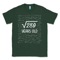 Sports Green 17 year old gift boys girls funny 17th birthday gifts math Classic Tee - trangStudio