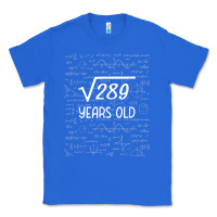 True Royal 17 year old gift boys girls funny 17th birthday gifts math Classic Tee - trangStudio