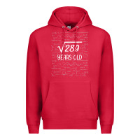 Cardinal 17 year old gift boys girls funny 17th birthday gifts math Premium Hoodie - trangStudio