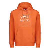 Carrot 17 year old gift boys girls funny 17th birthday gifts math Premium Hoodie - trangStudio