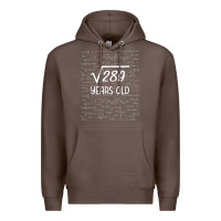 17 Year Old Gift Boys Girls Funny 17th Birthday Gifts Math Premium Hoodie | Teevron