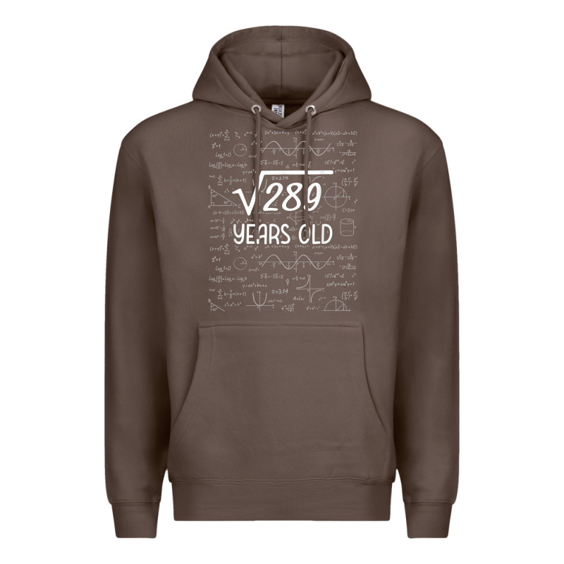 17 Year Old Gift Boys Girls Funny 17th Birthday Gifts Math Premium Hoodie by trangStudio | Teevron