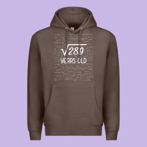 17 Year Old Gift Boys Girls Funny 17th Birthday Gifts Math Premium Hoodie Designed By Trangstudio