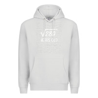 Dove Grey 17 year old gift boys girls funny 17th birthday gifts math Premium Hoodie - trangStudio