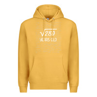 Mustard 17 year old gift boys girls funny 17th birthday gifts math Premium Hoodie - trangStudio