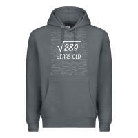 Rock 17 year old gift boys girls funny 17th birthday gifts math Premium Hoodie - trangStudio