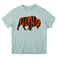 Arona Red Cactus Bison Silhouette Heavy Core Tee - Bettercallsaul