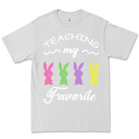 Dove Grey Teaching My Favorite Bunny Premium Tee - Bettercallsaul