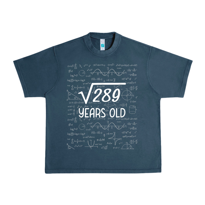 17 Year Old Gift Boys Girls Funny 17th Birthday Gifts Math Urban Heavy Tee by trangStudio | Teevron