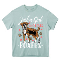 Arona Kids Boxer Dog Just A Girl Who Loves Boxers Gift Heavy Core Tee - trangStudio