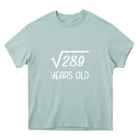 Arona 17 year old gift boys girls funny 17th birthday gifts math Heavy Core Tee - trangStudio