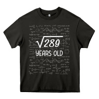 Asphalt 17 year old gift boys girls funny 17th birthday gifts math Heavy Core Tee - trangStudio