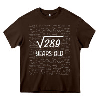 Chocolate Brown 17 year old gift boys girls funny 17th birthday gifts math Heavy Core Tee - trangStudio