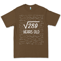 17 Year Old Gift Boys Girls Funny 17th Birthday Gifts Math Premium Tee | Teevron