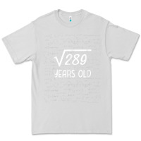 Dove Grey 17 year old gift boys girls funny 17th birthday gifts math Premium Tee - trangStudio