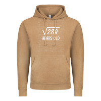 Vintage Camel 17 year old gift boys girls funny 17th birthday gifts math Vintage Hoodie - trangStudio