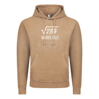 Vintage Coffee 17 year old gift boys girls funny 17th birthday gifts math Vintage Hoodie - trangStudio
