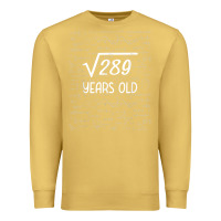 Antique Gold 17 year old gift boys girls funny 17th birthday gifts math Premium Sweatshirt - trangStudio