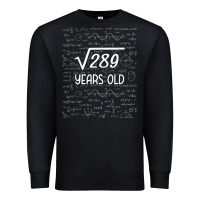 17 Year Old Gift Boys Girls Funny 17th Birthday Gifts Math Premium Sweatshirt | Teevron