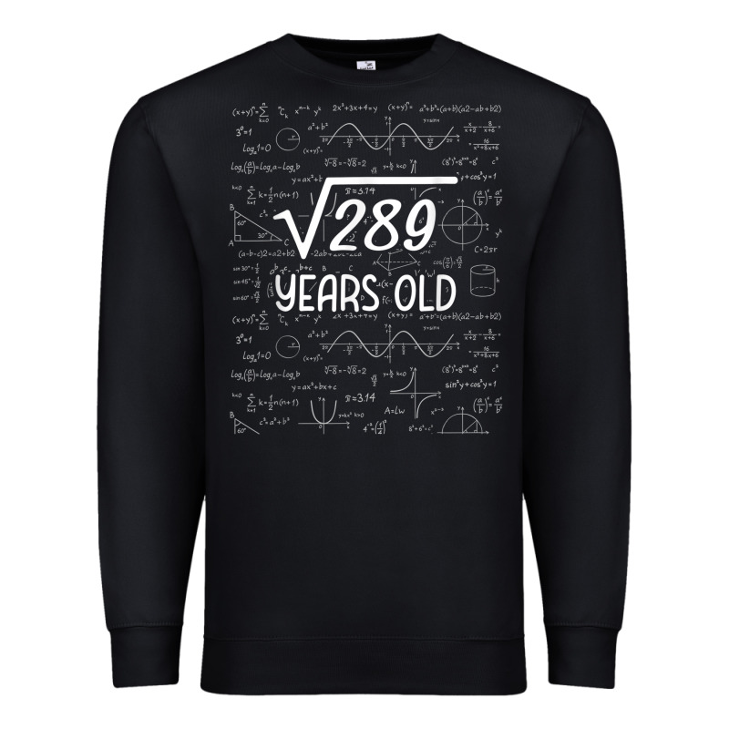 17 Year Old Gift Boys Girls Funny 17th Birthday Gifts Math Premium Sweatshirt by trangStudio | Teevron