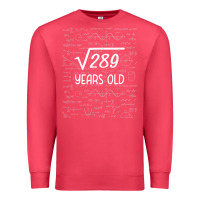 Cardinal 17 year old gift boys girls funny 17th birthday gifts math Premium Sweatshirt - trangStudio