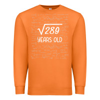 Carrot 17 year old gift boys girls funny 17th birthday gifts math Premium Sweatshirt - trangStudio