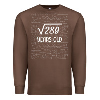 Chestnut 17 year old gift boys girls funny 17th birthday gifts math Premium Sweatshirt - trangStudio