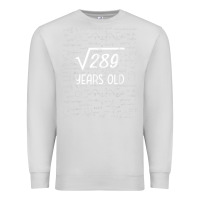 Dove Grey 17 year old gift boys girls funny 17th birthday gifts math Premium Sweatshirt - trangStudio