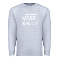 Heather Grey 17 year old gift boys girls funny 17th birthday gifts math Premium Sweatshirt - trangStudio