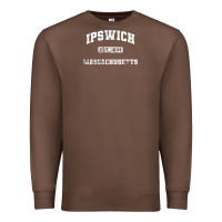 Chestnut ipswich massachusetts ma vintage state athletic style Premium Sweatshirt - trangStudio