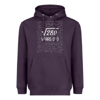 17 Year Old Gift Boys Girls Funny 17th Birthday Gifts Math Heavyweight Hoodie | Teevron