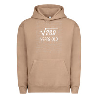 Pigment Burro 17 year old gift boys girls funny 17th birthday gifts math Urban Hoodie - trangStudio