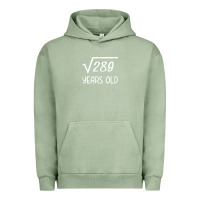 Pigment Oil Green 17 year old gift boys girls funny 17th birthday gifts math Urban Hoodie - trangStudio