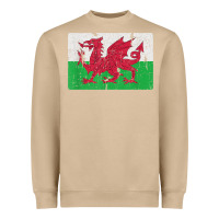 Mushroom Vintage Welsh Flag Of Wales Dragon Souvenir Gift Men Women Heavyweight Sweatshirt - trangStudio