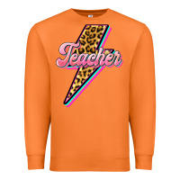 Carrot flash teacher Premium Sweatshirt - BarkalooDesign