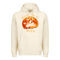Tofu Halloween Witch On Motorcycle Cat & Moon Salem Witch Trials Premium Premium Hoodie - trangStudio