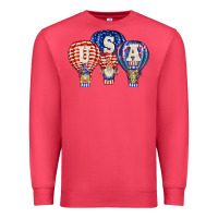 Cardinal usa air balloon gnomies Premium Sweatshirt - BarkalooDesign